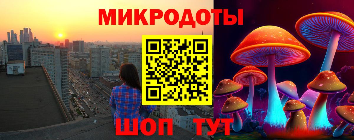 Галлюциногенные грибы Psilocybine cubensis  Вход с VPN  Камышлов 