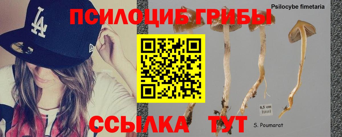 Галлюциногенные грибы Magic Shrooms Камышлов