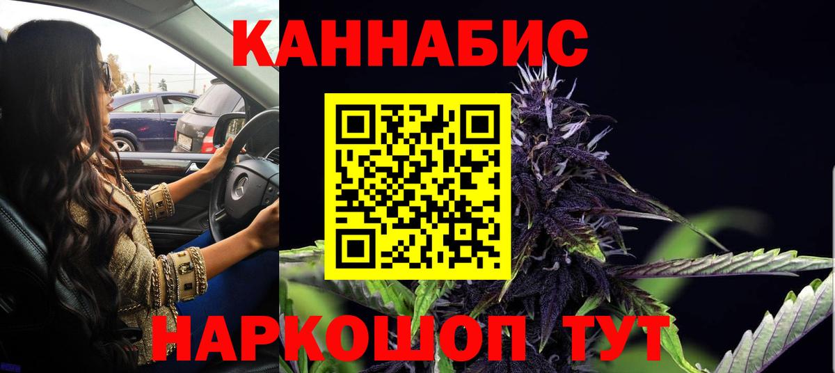 Бошки марихуана тримм  Вход с VPN  Камышлов  Канабис планчик  Бошки марихуана конопля 